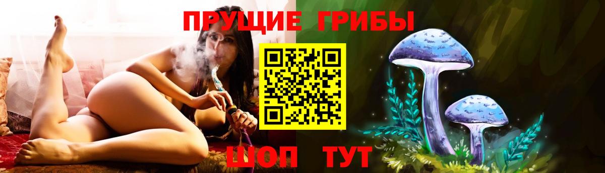 Можга  Галлюциногенные грибы GOLDEN TEACHER  наркошоп  Вход с VPN  Псилоцибиновые грибы Cubensis 